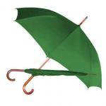 Economy Rain Umbrella, Rain Umbrellas